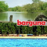 সোনাকাটা সমুদ্র সৈকত