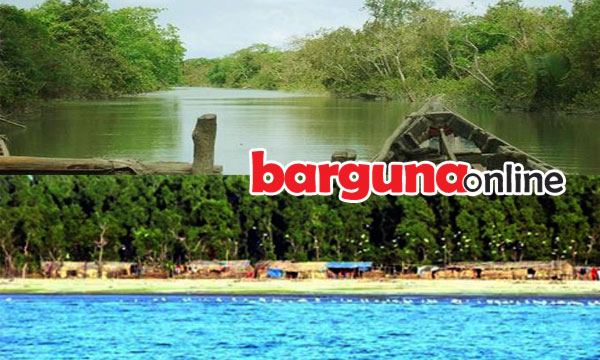 অল্প সময়ে জনপ্রিয় সোনাকাটা ইকোপার্ক, সংস্কারের অভাবে ভোগান্তি