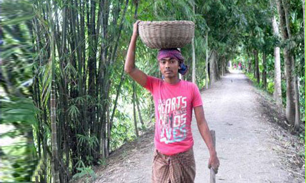 দিনমজুরের কাজ করে গোল্ডেন জিপিএ উজ্জ্বলের