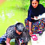 সুমি রানী