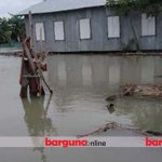 বরগুনায় ১৫ পয়েন্টের বেড়িবাঁধ ভেঙে অর্ধশত গ্রাম প্লাবিত