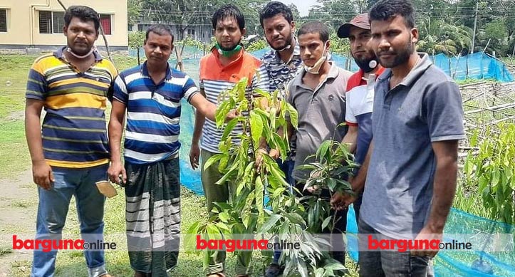 জিয়ার শাহাদাৎ বার্ষিকী : বেতাগীতে যুবদল ও ছাত্রদলের মাসব্যাপী বৃক্ষরোপন কর্মসূচি