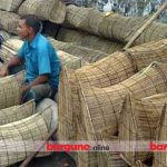 বেতাগীতে জমজমাট  চাঁইয়ের হাট