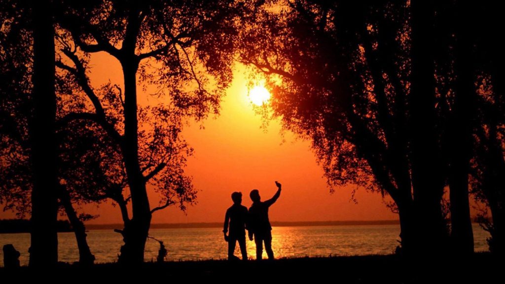 বিহঙ্গ দীপ