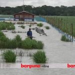বৃষ্টির পানিতে ভেসে গেছে পাথরঘাটায় রাসেলের স্বপ্ন