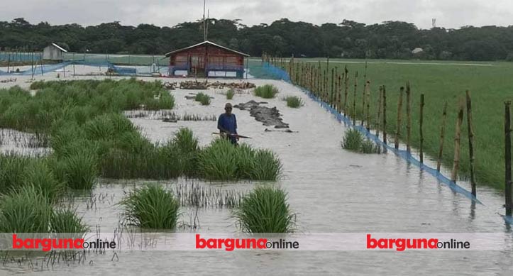 বৃষ্টির পানিতে ভেসে গেছে পাথরঘাটায় রাসেলের স্বপ্ন